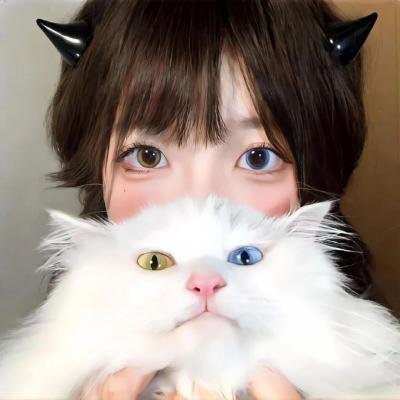 藏獒情未了